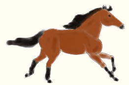 running_horse.gif