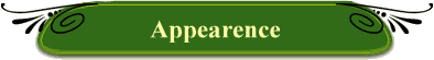 Appearence