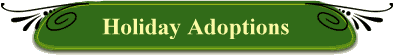 Holiday Adoptions