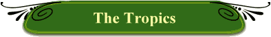 The Tropics