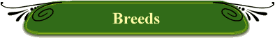 Breeds