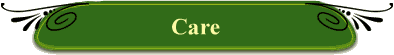 Care