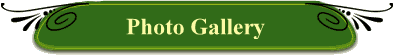 Photo Gallery