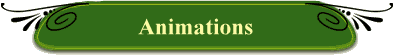 Animations