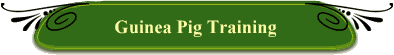 Guinea Pig Training