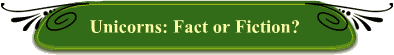 Unicorns: Fact or Fiction?
