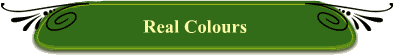 Real Colours