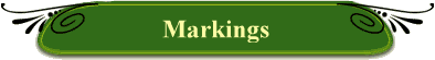 Markings