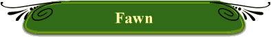 Fawn