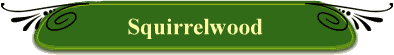 Squirrelwood