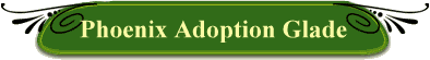 Phoenix Adoption Glade