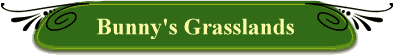 Bunny's Grasslands