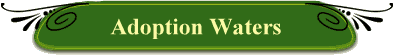 Adoption Waters
