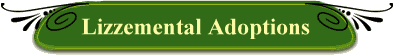 Lizzementals Adoptions