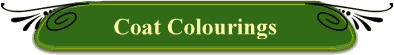 Coat Colourings