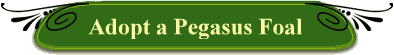 Adopt a Pegasus Foal