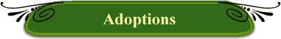Adoptions