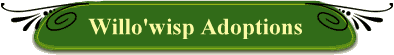 Willo'wisp Adoptions