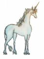 unicorn.jpg